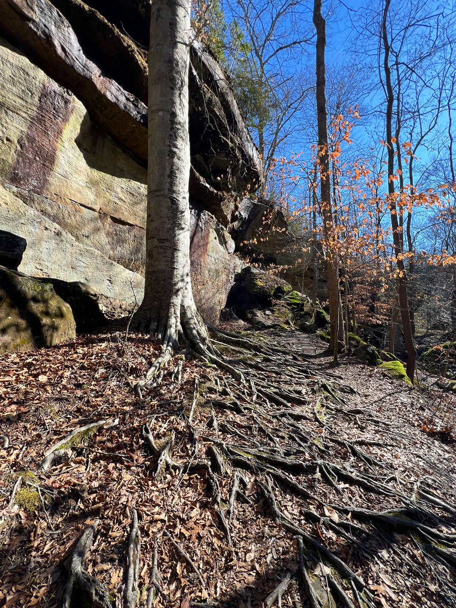 wxornotBG's tweet photo. First trip of the new year to Shanty Hollow. Always a fun little trek, close to home. Are you taking advantage of this beautiful weather?? 🐾☀️🌳 https://t.co/RtciAbmTot