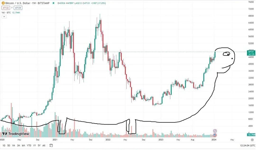 Trader Theory tweet media