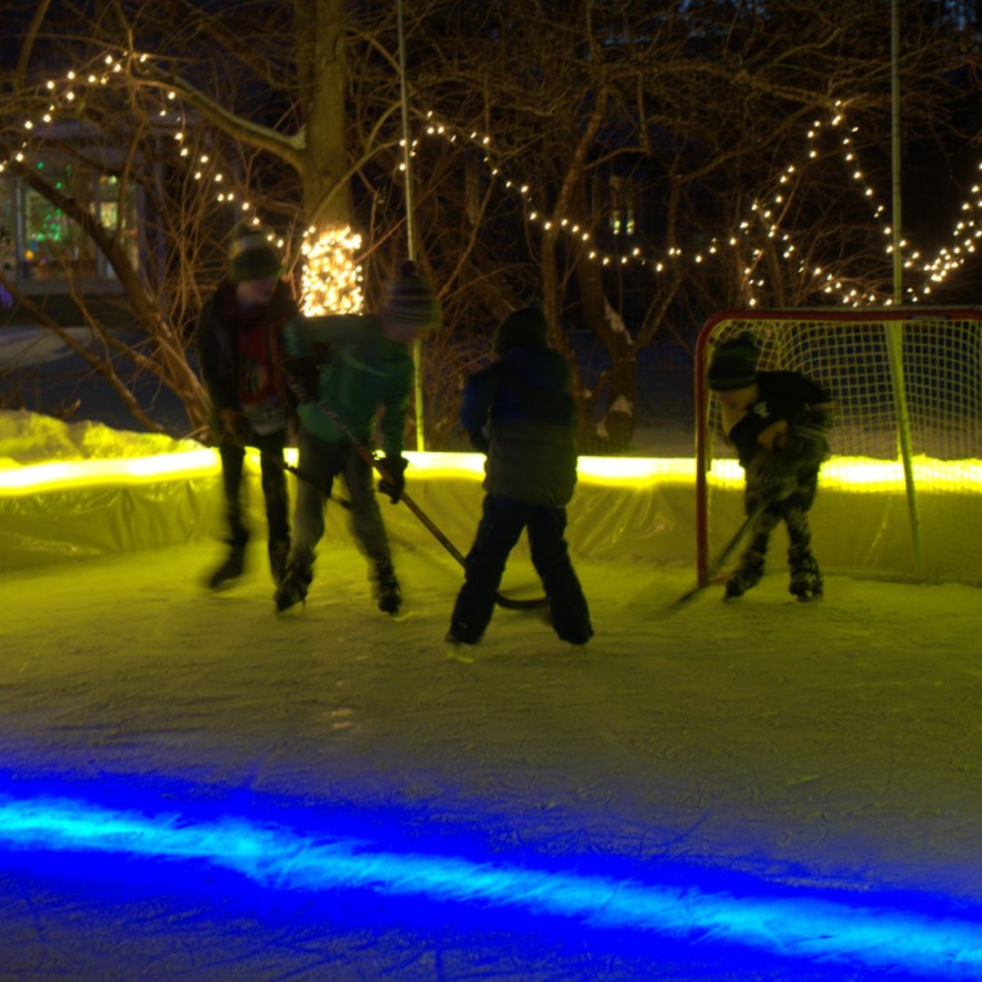 T-RexRinks tweet media