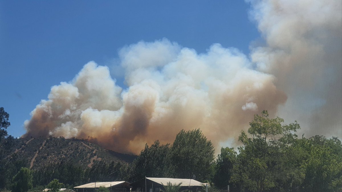 msotoopazo's tweet photo. Incendio en Las Cabras. Ruta 66, ruta de la fruta, cortada. 
Tomar la ruta cuesta las cabras. H  780
@AlertaOhiggins @Rlibertador6 https://t.co/5DsjTbIlsW
