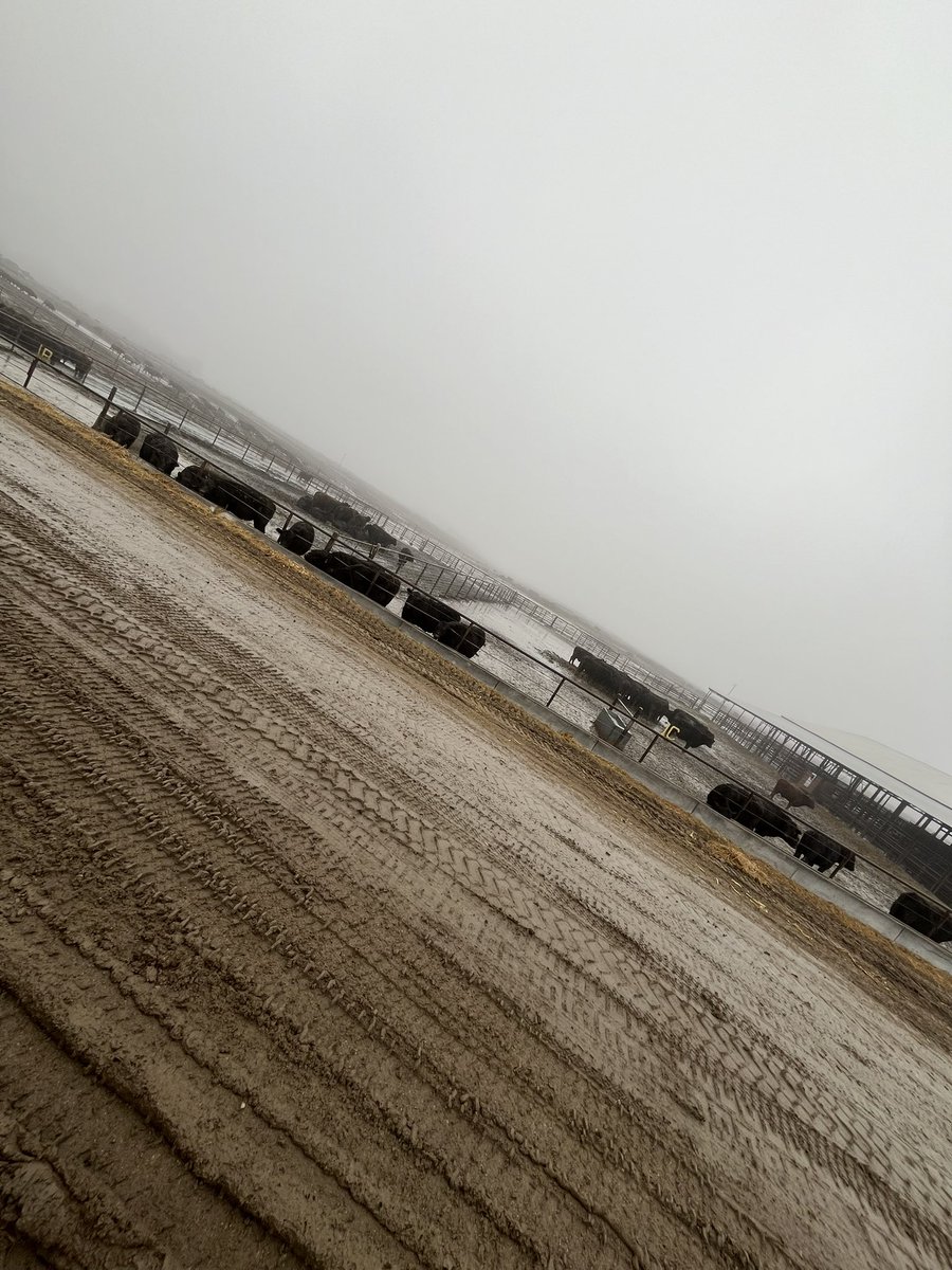 So much for the lots starting to dry out*