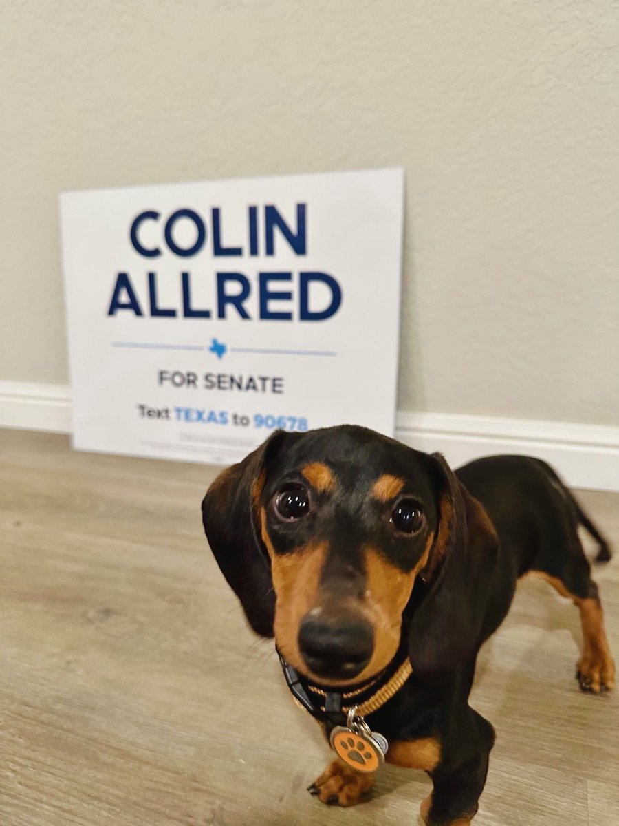 Colin Allred tweet media