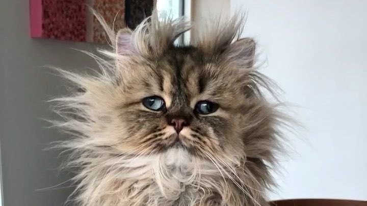 Matenolol's tweet photo. 16h40 : je vais faire une petite sieste et fermer mes yeux deux minutes 

19h10 : ouvre les yeux https://t.co/daJMwpQ3RZ