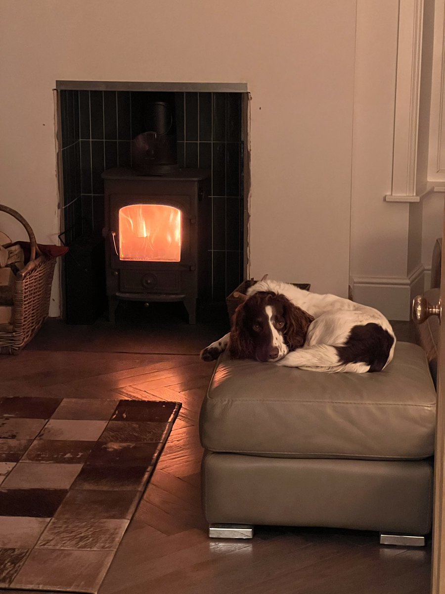 TufferB's tweet image. #Dawglife