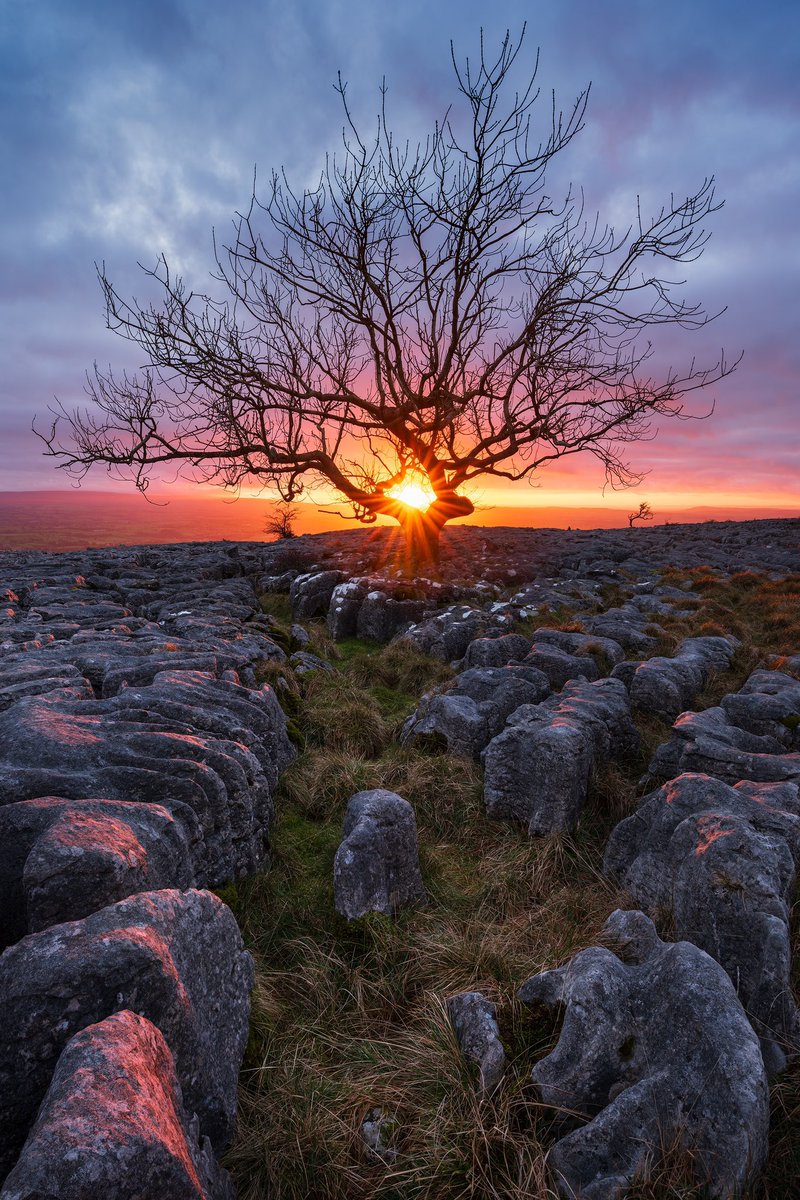 Some fantastic light the other week at Twistleton Scar in The Yorkshire Dales! Had this comp with the sun star in my mind for a few years now, was over the moon to get it! 😀 #yorkshiredales #landscapephotography