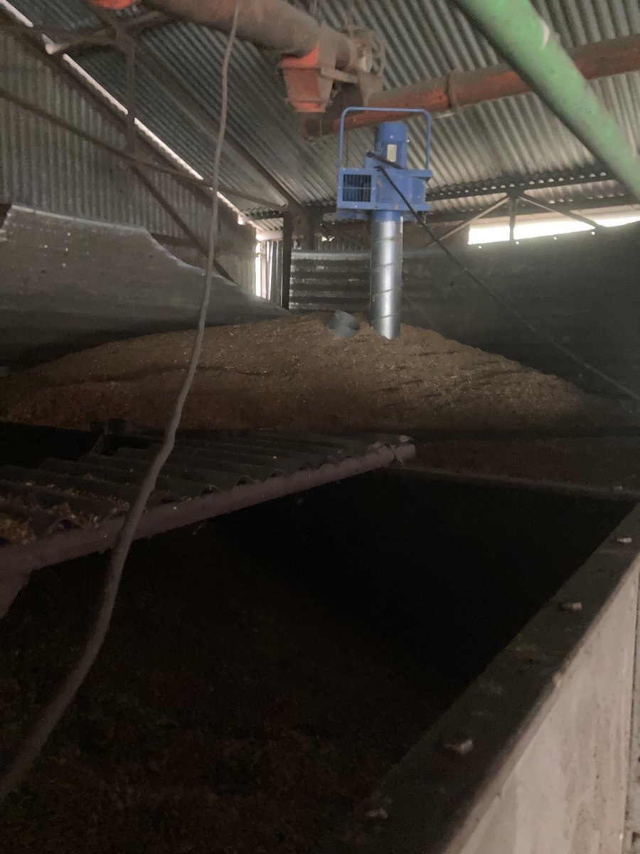OlivierCOSTE2's tweet photo. Le #TDP étant terminé @BONNIN1402.
On jette un 👁️ à la sonde et je monte les barreaux de l’🪜,pour voir la cellule de #blé #LuHarmony #Moisson2023. 
Actuellement  la température 🤒 des DD les grains est à 9.8🌡️ @BarjotNicolas.
@AGPB_Cerealiers @intercereales https://t.co/Krjyg4y0JJ