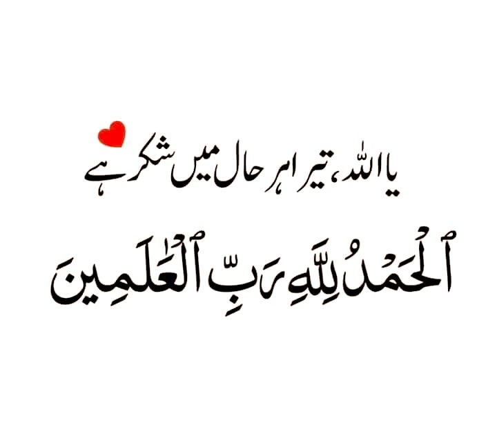 Always Be Grateful to Allah. 

Sweet dreams 🛌 
Sleep Well.