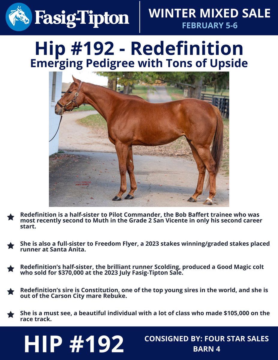 FourStarSales's tweet photo. So excited to have Hip 192, Redefinition, in our Fasig-Tipton February Consignment! Come see her at Barn 4, you’ll be glad you did!
⭐️⭐️⭐️⭐️
#fasigtipton #Constitution #racefilly https://t.co/4m5ZvxgWIQ