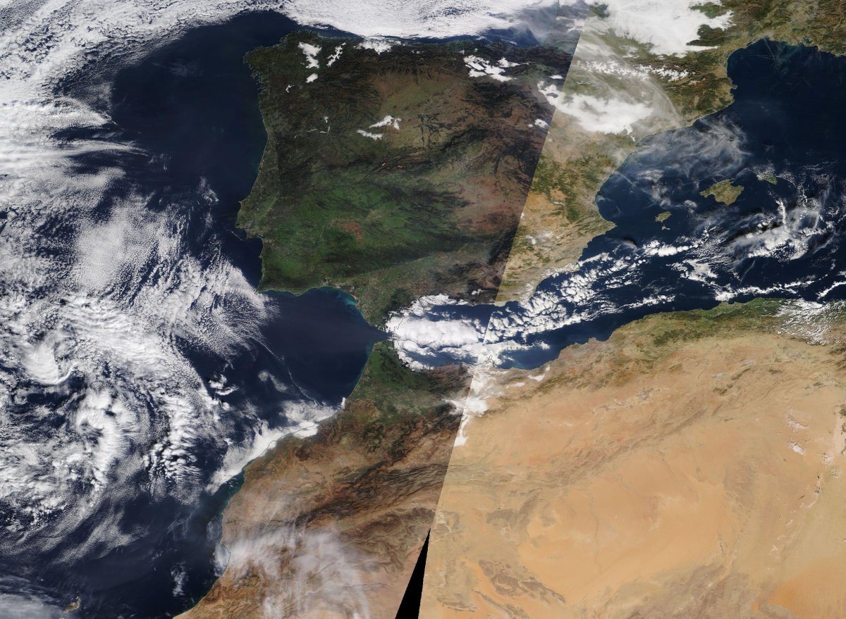 jrambaud's tweet image. Imagen #satelite #NASAWorldview @NASAEarth 
Llamativo verde en O de #Iberia y N de @Marruecos #nieblas Valle del Ebro y algunos interiores. #Nieve en #Pirineos (escasa, nula en #Navarra ) y #SierraNevada, ausente en #Atlas 
#Nubes por #levante en #Alborán #EstrechodeGibraltar