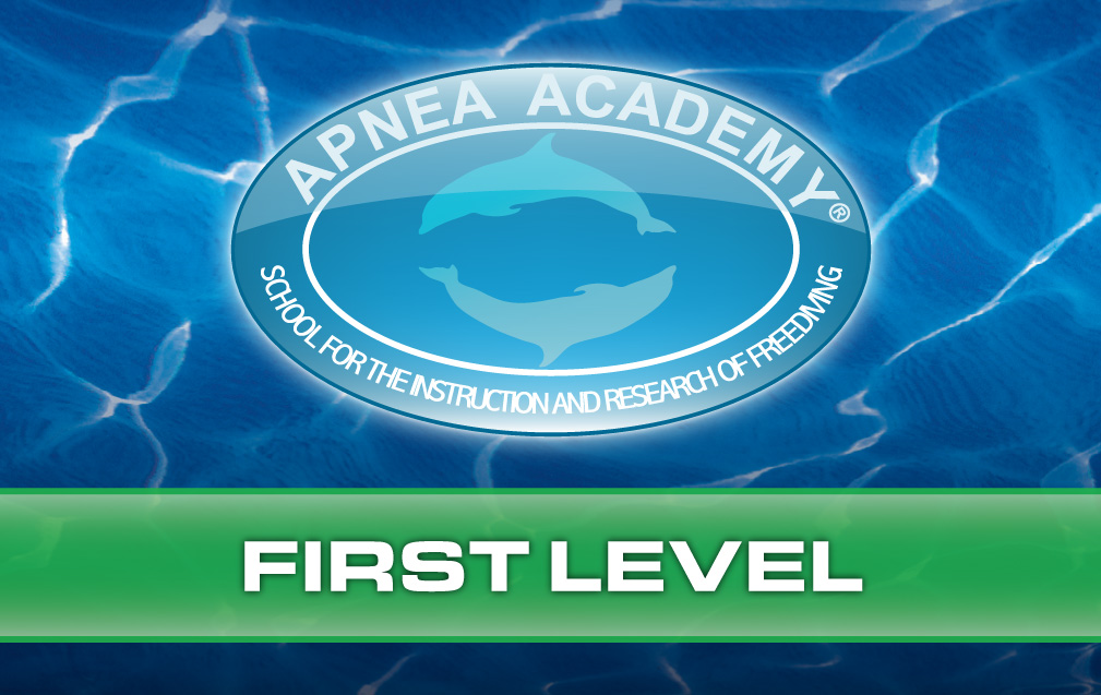 Freedive_Lamia's tweet photo. #freedivelamia #nature #spearo #spearfishing #freedivingphotography #freedivelife #gopro #goprounderwater #athletes #apneaacademy #apneapassion #apnea #staticapnea #freedivelife #freedivinglife #xtdivingpro #wetsuit #freediver https://t.co/AK2QlowsPX