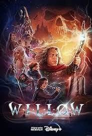 yorit1's tweet photo. Willow #SaveWillow https://t.co/AyF8UIJKES