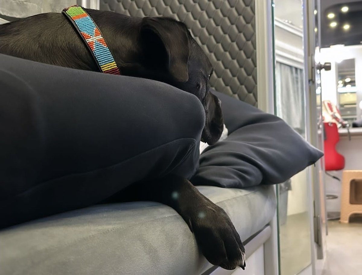 a little visit to the set 🩵