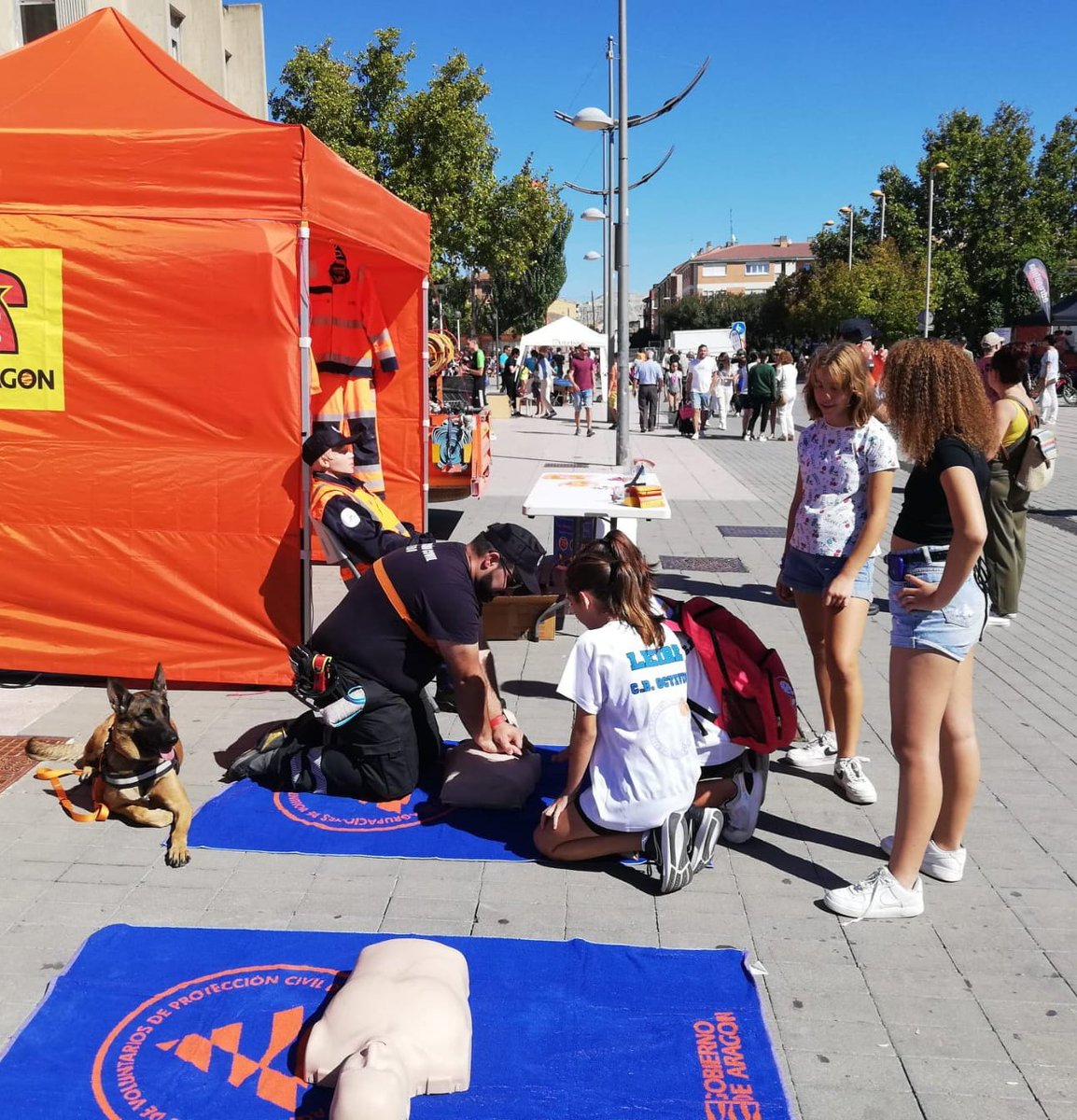 24 Septiembre 2024
"II FERIA DEL DEPORTE DE UTEBO".
Nuestra Agrupación hemos realizado talleres de Reanimación Cardiopulmonar y Soporte Vital Básico entre los asistentes, además de una exposición de equipos y la participación de nuestro equipo canino K9 de búsqueda.