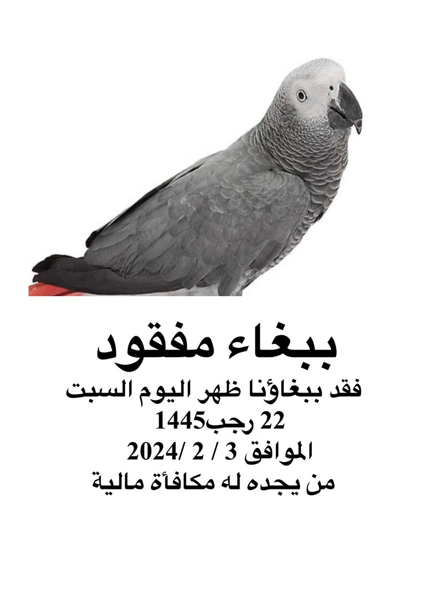أحلام وردية tweet media