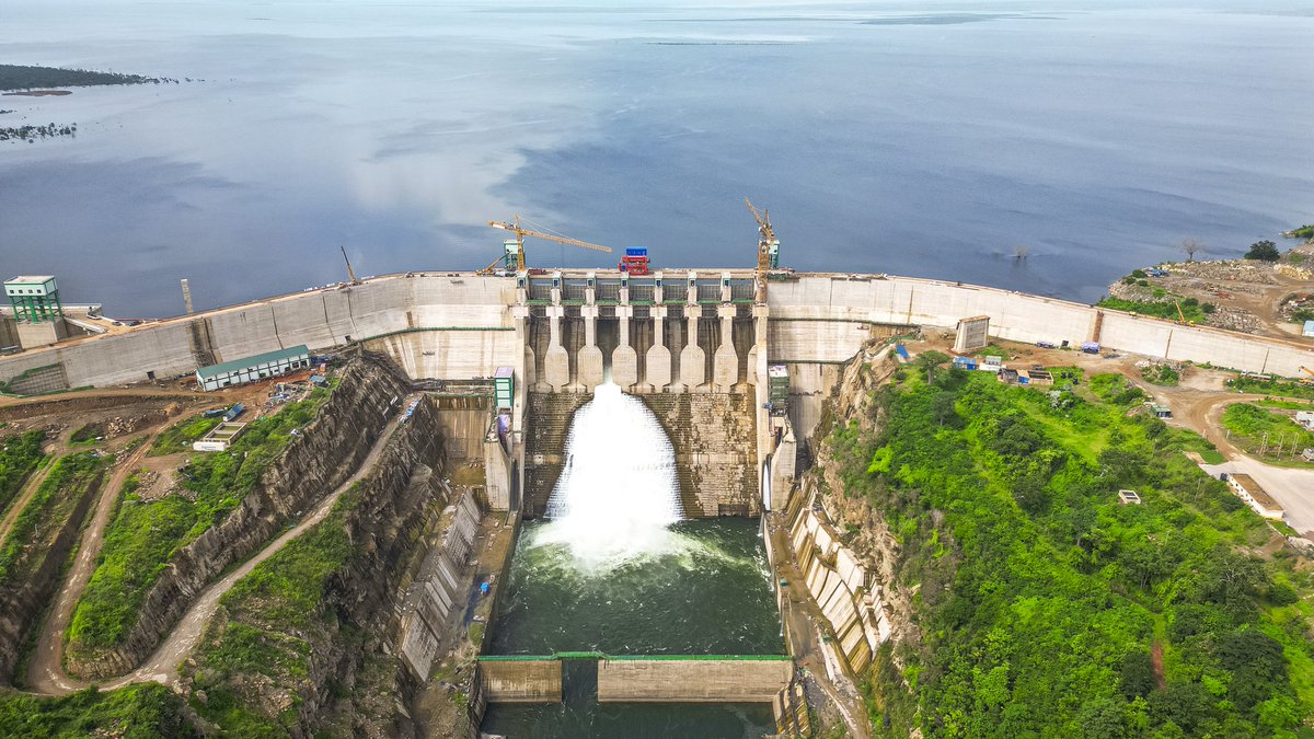 Masharikan 🌎 tweet media