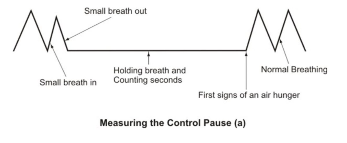 Buteyko found that the control pause test is one of the best indicators of your health

Higher CP tests were associated with much lower rates of cancer, alzheimers, diabetes, obesity, etc.

To measure, take normal breaths then hold your breath until 1st urge to breathe.