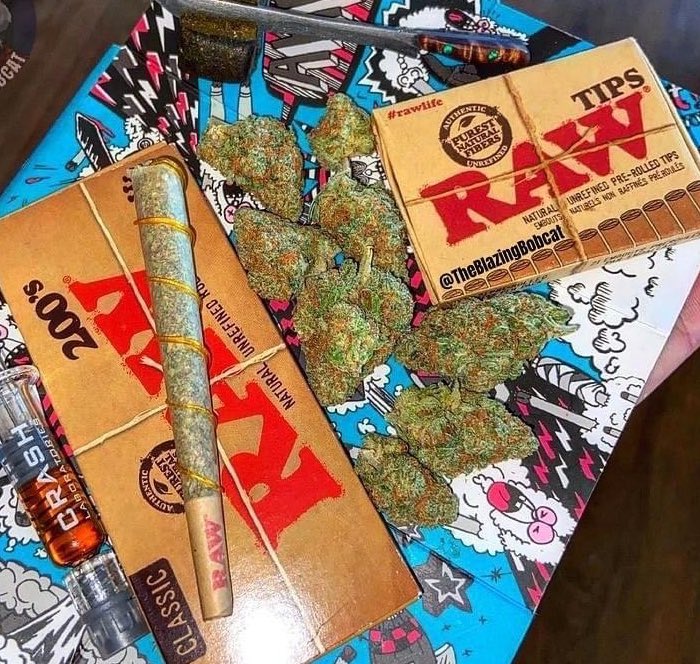 _StonersRUs_'s tweet photo. Who’s smoking weed rn? 💨

#StonerFam #Mmemberville https://t.co/DkolXm97NQ