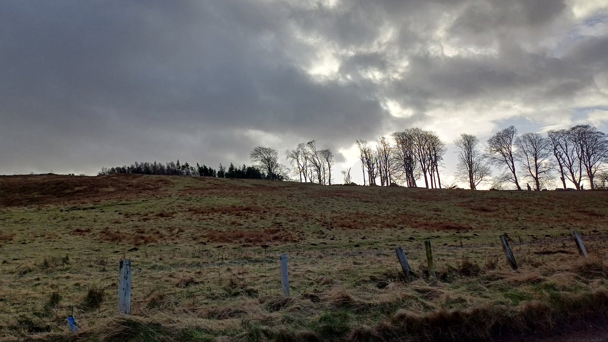 samhogarth26's tweet photo. I'm spending the weekend in Northumberland looking at some war memorials I'm researching and it's so nice to be back in this landscape! https://t.co/eTeOrMtv3Y