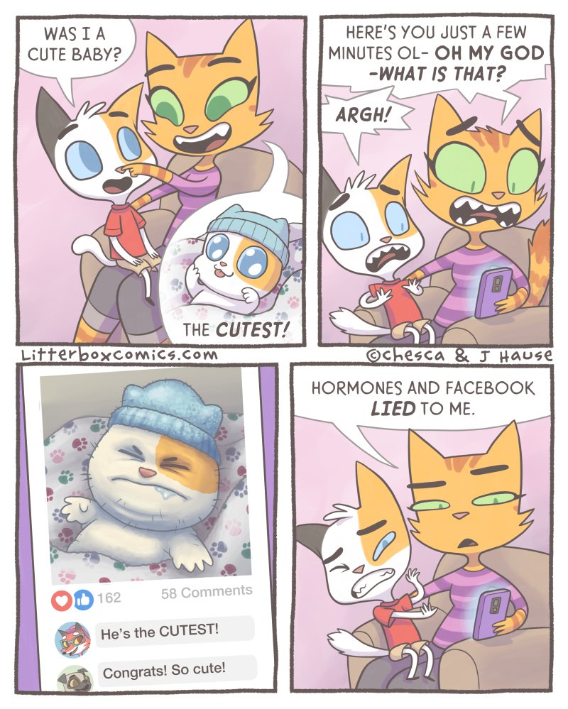 Litterbox Comics tweet media