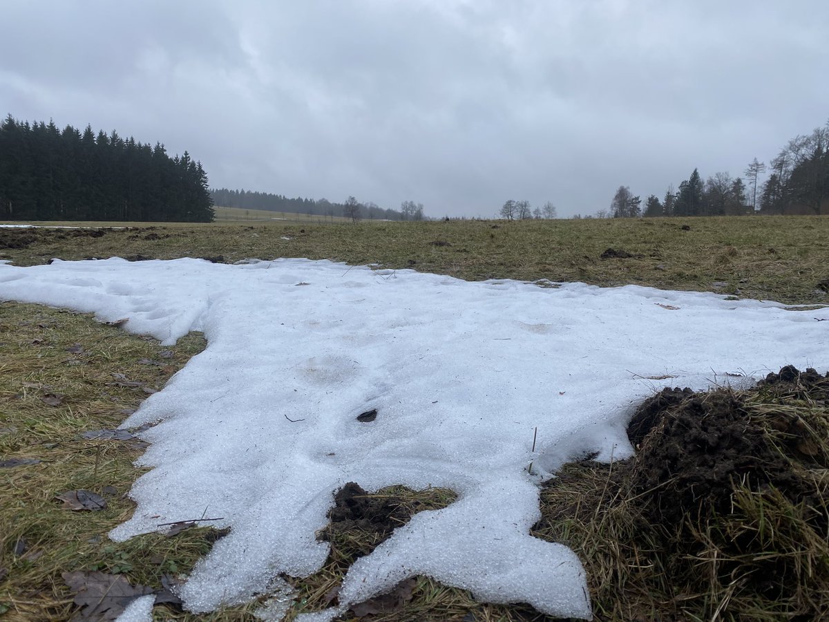 tony_ver2's tweet photo. Výlet na hrad Oybin (🇩🇪) 3.2.2024
#turistika #CzechRepublic #vylety #czechia #les #forest #hrad #Castle #burg #Winter #WinterVibes #hikingadventures #deutschland #sachsen #oybin 1/3 https://t.co/Wfz1YQc7JE