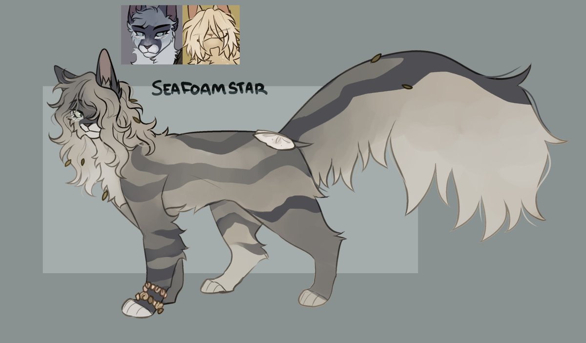 ⭐️🐾 tweet media