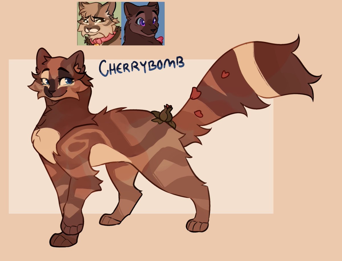 ⭐️🐾 tweet media