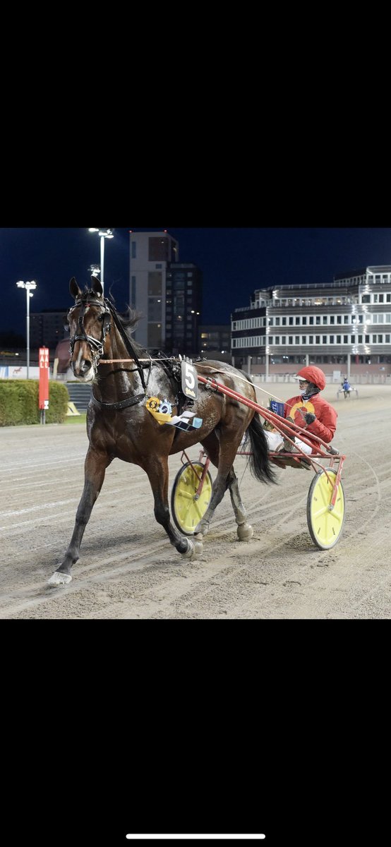 schon_marcus's tweet photo. Cool häst! Fantastiskt team!@StallCourantAB https://t.co/WN93kMbmd5