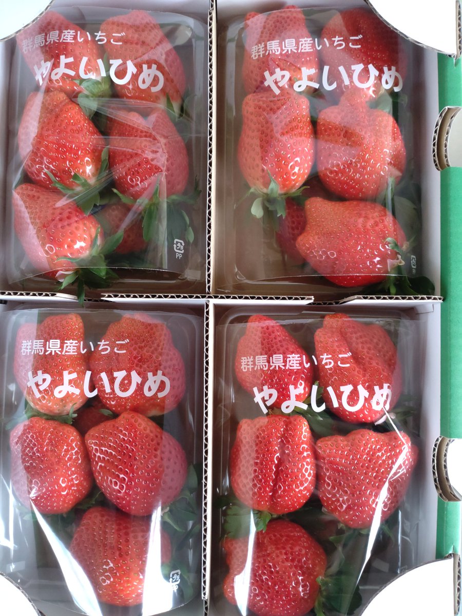 higuchi_engei's tweet photo. おはようございます✋
#樋口園芸 より
ささやかではございますが
#バレンタインデー の
#いちごプレゼント企画 🎁
をやりますよ～🍓

4パック入りを２名様へ✌️
(サイズいろいろ）

①アカウントのフォロー
②ポストのリポスト＆いいね

応募期間
2月10日(土曜日）
午前9時まで😙

当選者様にはDM💌で https://t.co/zYAQpeVmgn