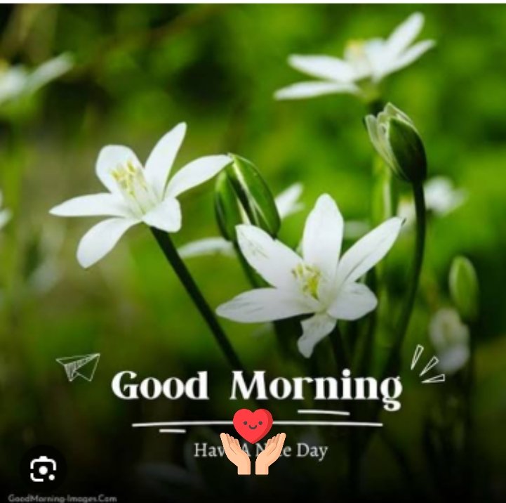 A.O.A 💞
Gud Morning Everyone 🌞