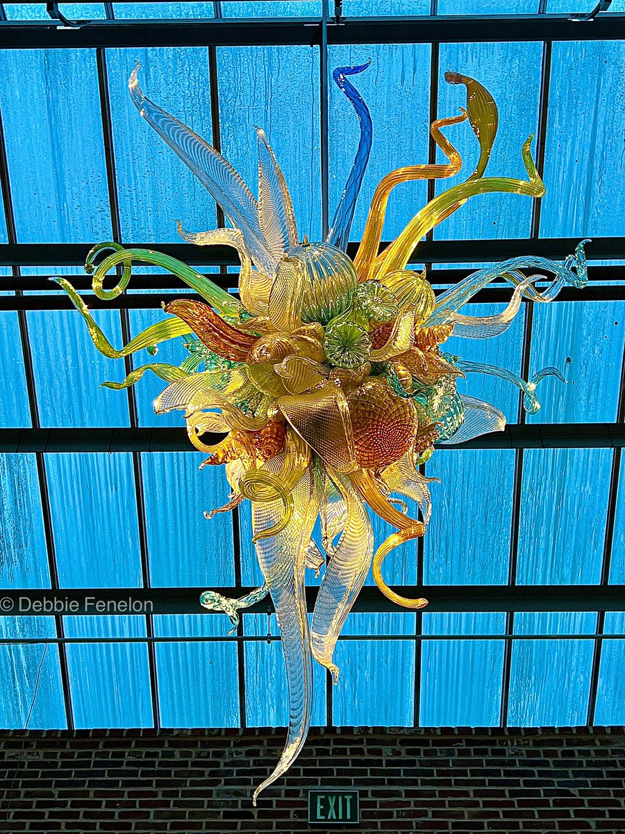 Delicate glass sculpture at the Missouri Botanical Garden last year.

#DailyPictureTheme #HandBlownGlass #Chihuly #MOBOT