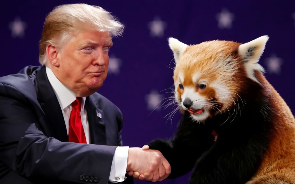 RPP_TheReal's tweet photo. I dream of meeting Donald Trump one day. π
#RedPandaPolitics #RedPanda #RedPandas #Trump2024 #MAGA #MakeAmericaGreatAgain #Trump2024NowMorethanEver https://t.co/iyADTeVqTi