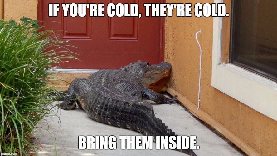 Come on Floridians, help a neighbor out. #Florida #FloridaCold