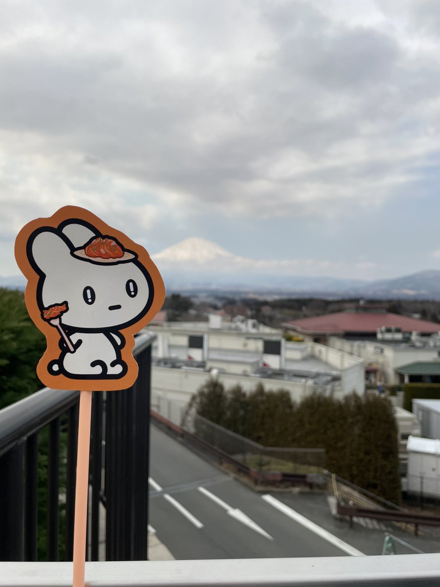 Oomamehan's tweet image. おはようございます🫘
昨日は #W3Sバスツアー でした❣️
もっちり富士山🐰🗻
2週連続でたくさんの方にお会いできてすごく楽しかったです🥰
その反動でロスも凄いの😢

#W3S 最高です😆