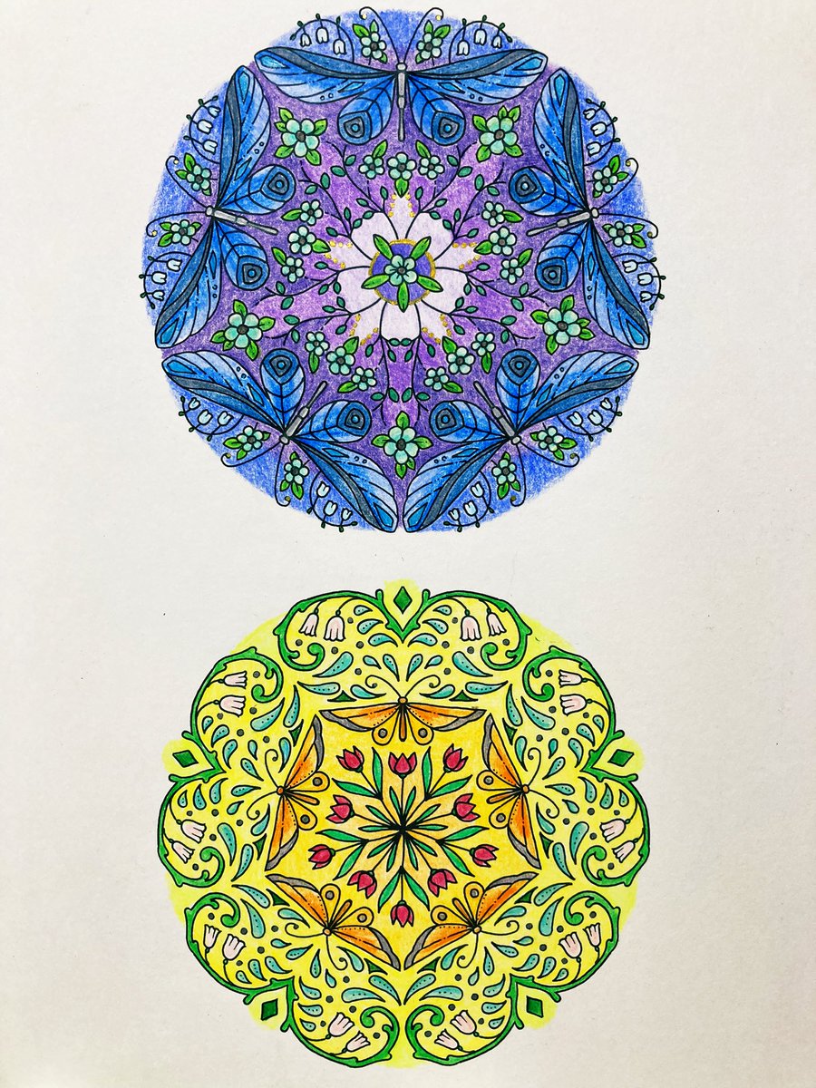 nrnr_renia's tweet photo. 完成🖍️No.037
どちらも好きな仕上がりに😊💕
#JohannaBasford #30DaysofCreativity #ジョハンナの塗り絵アクティビティブック #グラフィック社 #大人の塗り絵 https://t.co/MJz3nDQdhC