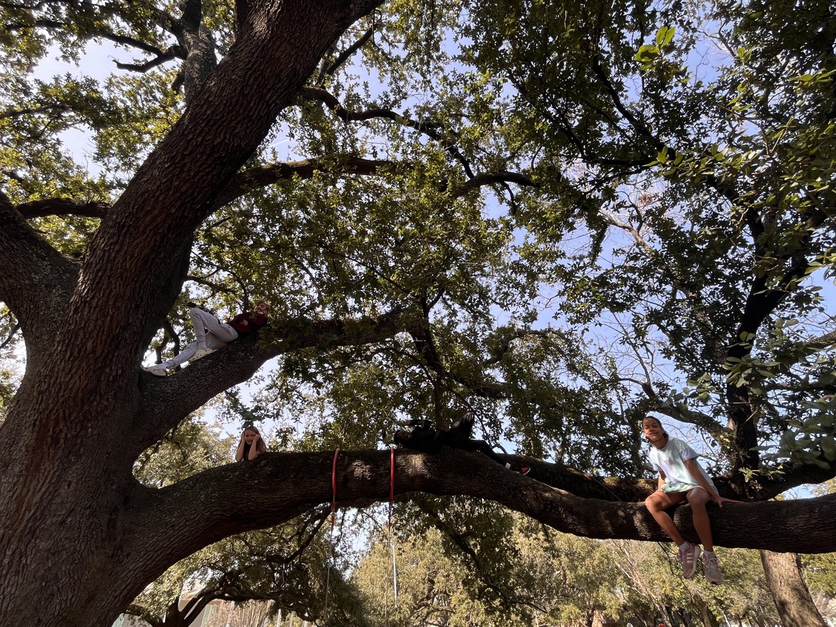 St. Stephen's Episcopal School, Houston tweet media