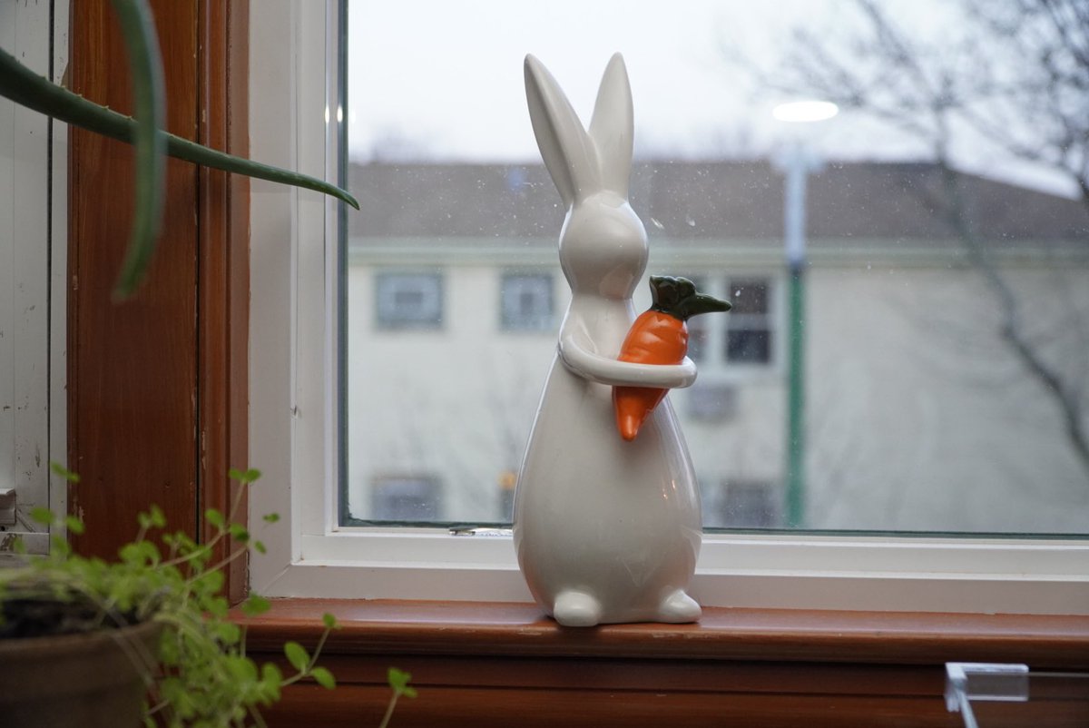 diego correa tweet media