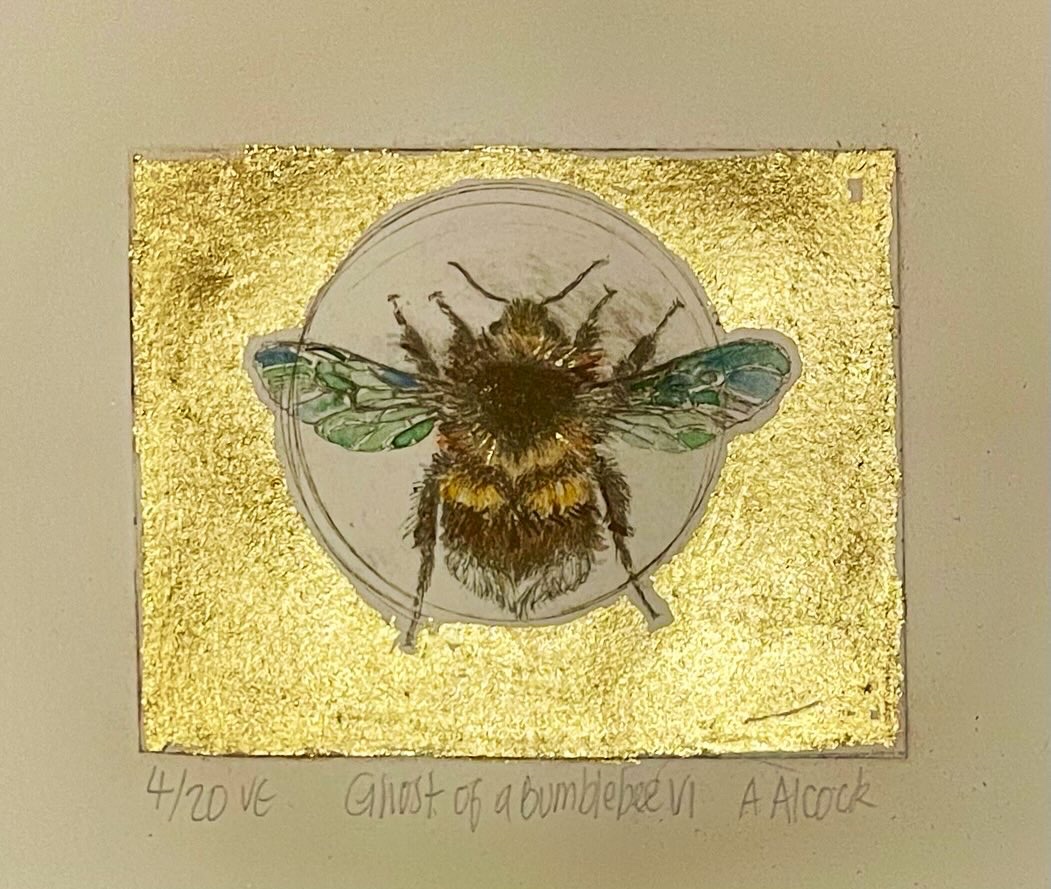 Anna Alcock tweet media