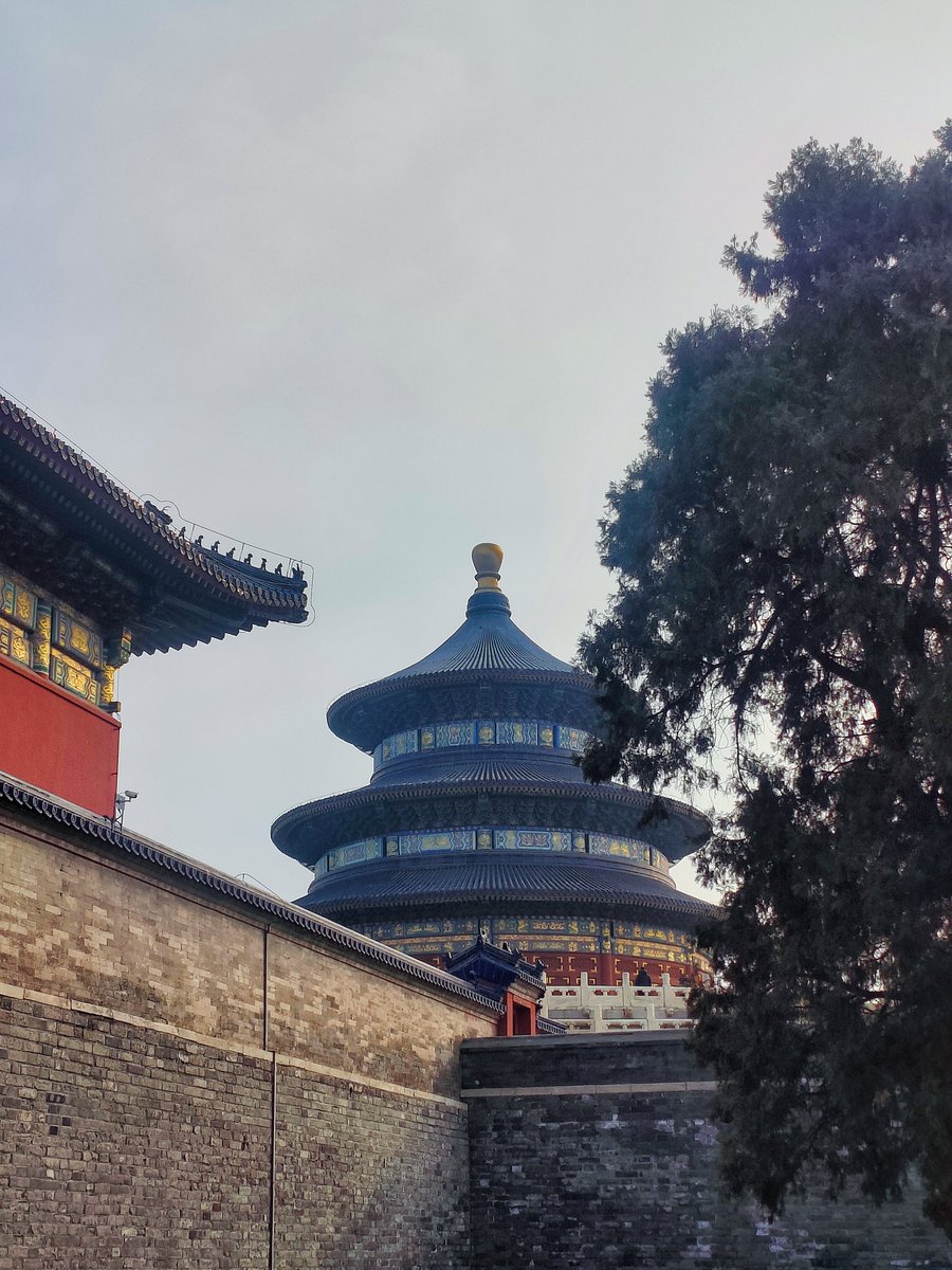lvna485297's tweet photo. 北京天坛祈年殿侧影 https://t.co/mksWqE8nHi