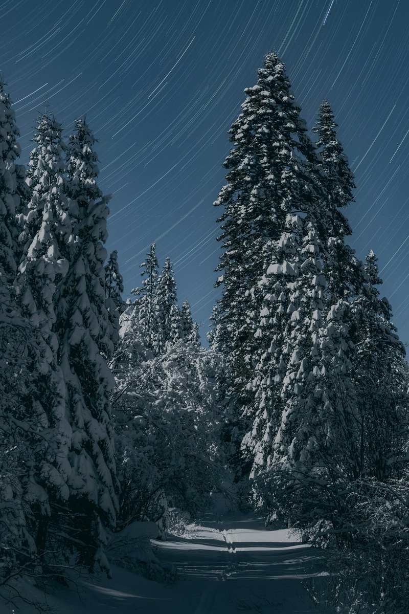 Unforgettable! The artist's interpretation of light and shadow elevates this artwork to another level. #ElevatedArt