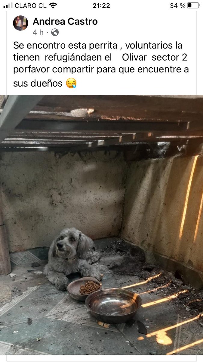 PatssyPatt_'s tweet photo. AYUDEN CON UN RT 

LA TIENEN RETENIDA EN EL OLIVAR, SECTOR 2 https://t.co/89942NjWuj