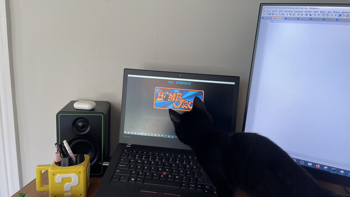 paulhamx's tweet image. To my (total lack of) surprise, the kids went to the SPCA with their mum to get a kitten for her new house. Instead, I’ve now ended up with one 😂

Very friendly though and seems to be fascinated by #pico8 #bombjack

Need to always lock my keyboard now though!
