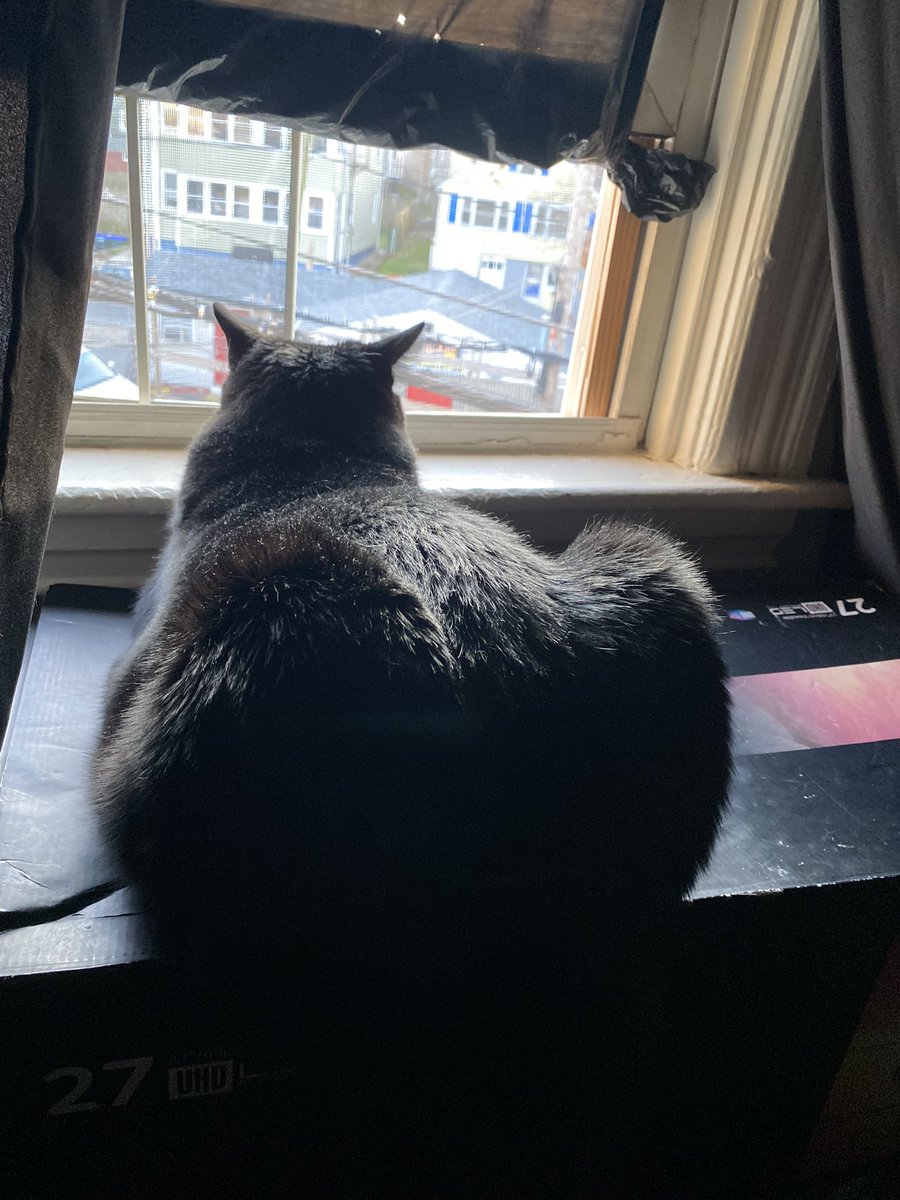 Crooklynkat tweet media