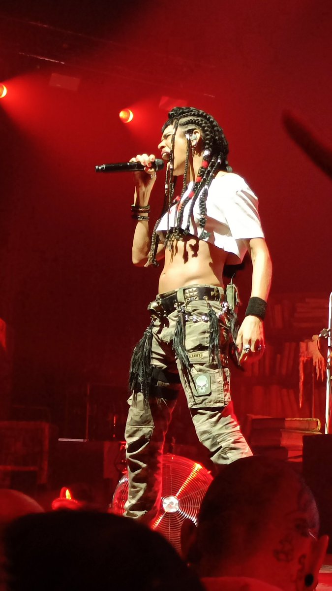 Lady Penguin tweet media