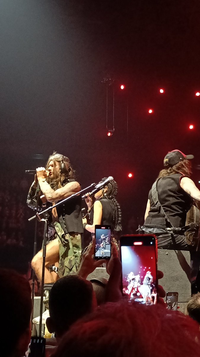 Lady Penguin tweet media