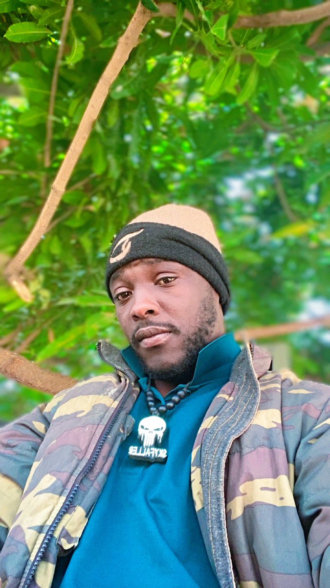 Skyfaller ige (@skyfaller) on Twitter photo 