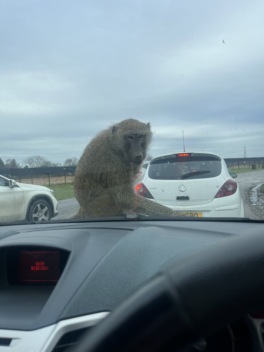 Chloe Barton tweet media