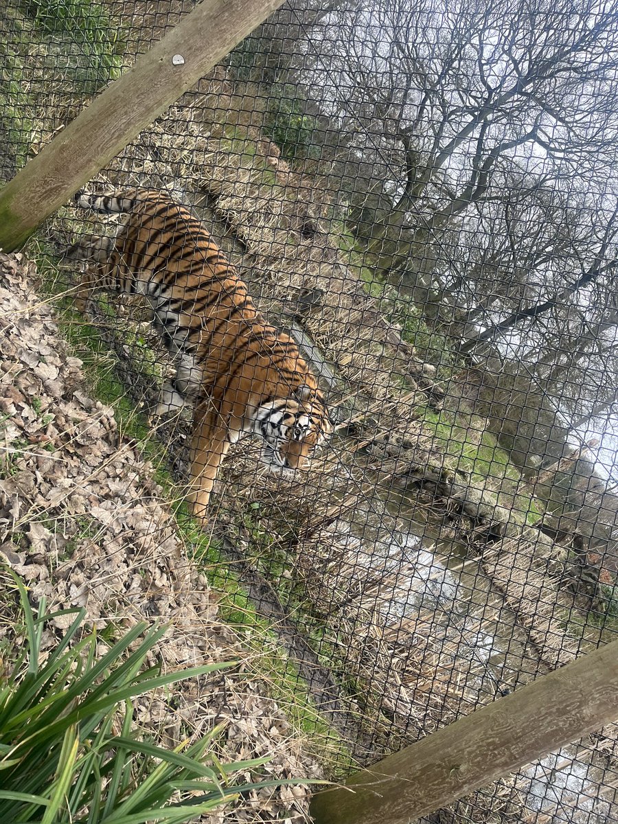 Chloe Barton tweet media