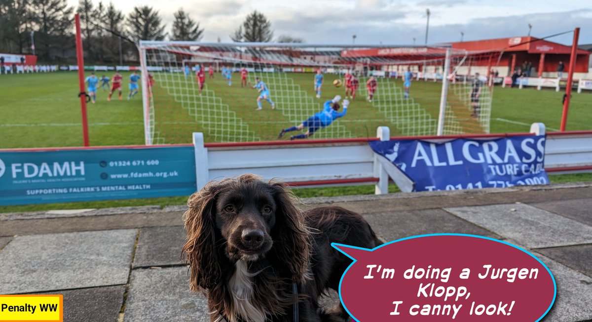 badgemcvid's tweet photo. It's not only the Jùrgen Klopps of this world who can't bare to watch an important penalty. Us Spaniels too 😂
@WhitehilWelfare @OfficialCJFC @EastScotlandFA https://t.co/LHh7ZlZ0qe