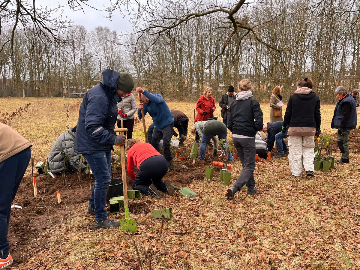moleeuwin's tweet photo. Het was een groot succes en met zo’n 30 vrijwilligers waren de 400 planten snel geplant! 🪴🪴🪴🪴 trots en blij! 
#voedselboshuizen https://t.co/S1ywh84jYe