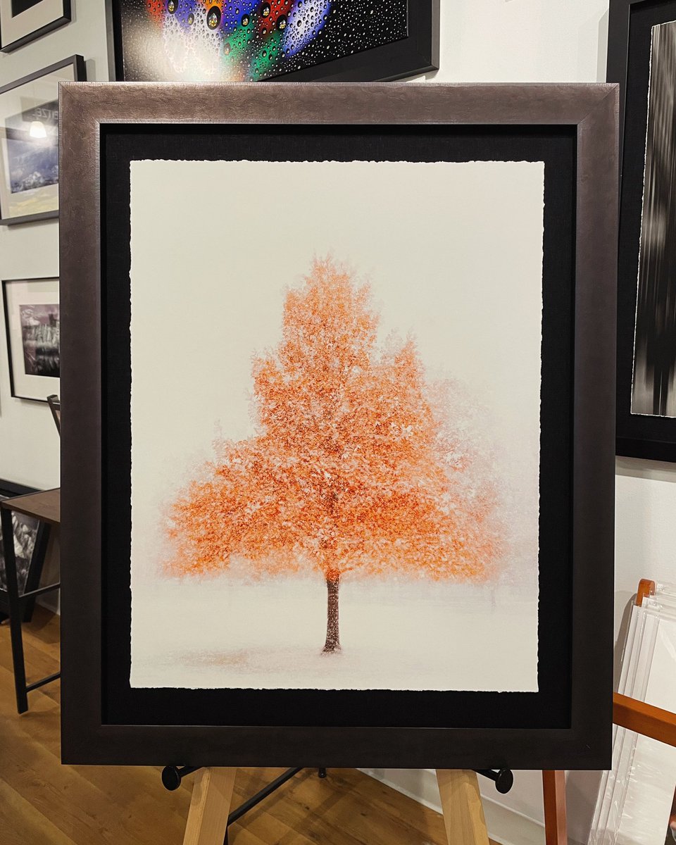 A new framed piece is now available at Gallery 6 in #Denver. Autumn’s First Snow printed on cotton rag paper with beautiful hand torn edges.